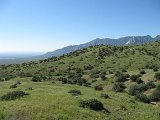 IMG_4680