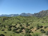IMG_4681