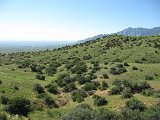 IMG_4692
